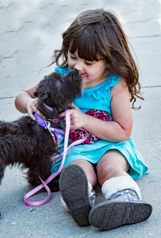 How to Introduce a New Dog to Children Safely