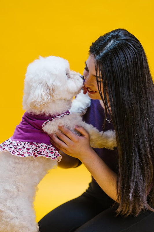 Understanding Dog Body Language for Better Communication