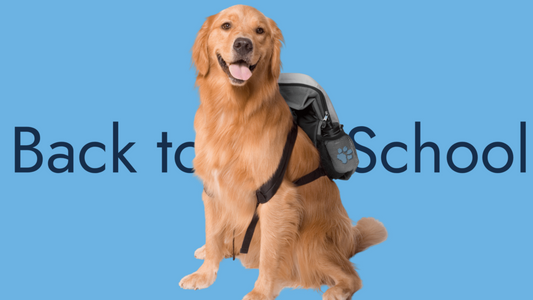 Back to School Puppy-Dog Blues