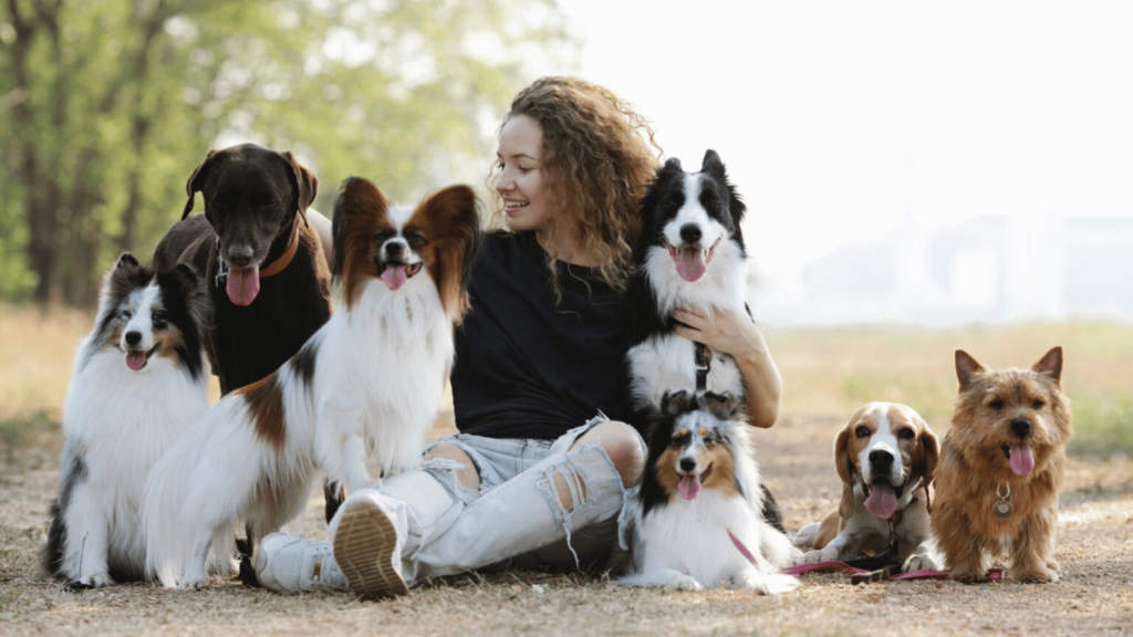 How to Find The Perfect Breed for Your Lifestyle