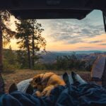 Ultimate Guide to Dog-Friendly Camping